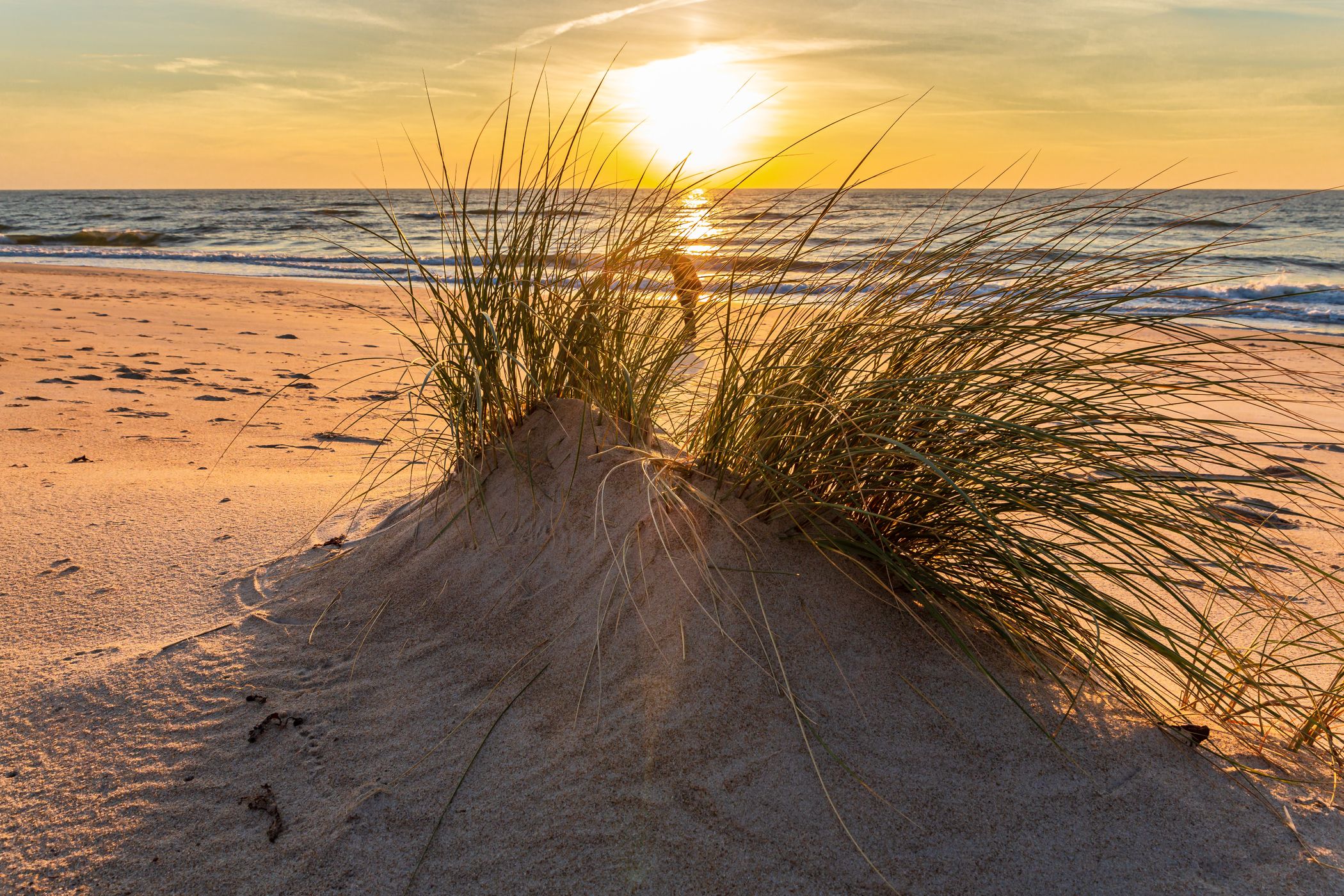 Beach with dunes on the Curonian Spit, Lithuania