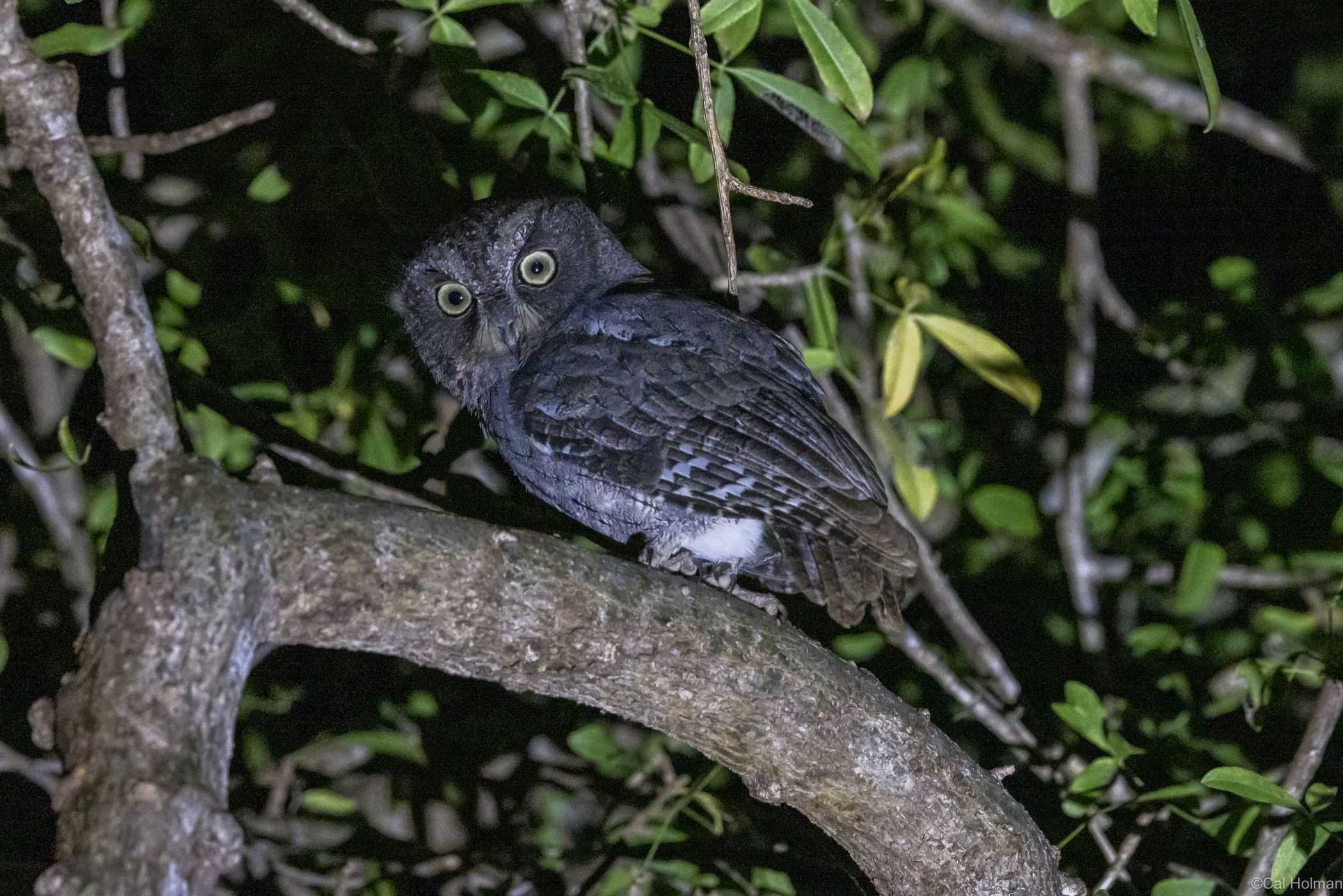 Berenty Reserve, Madagascar