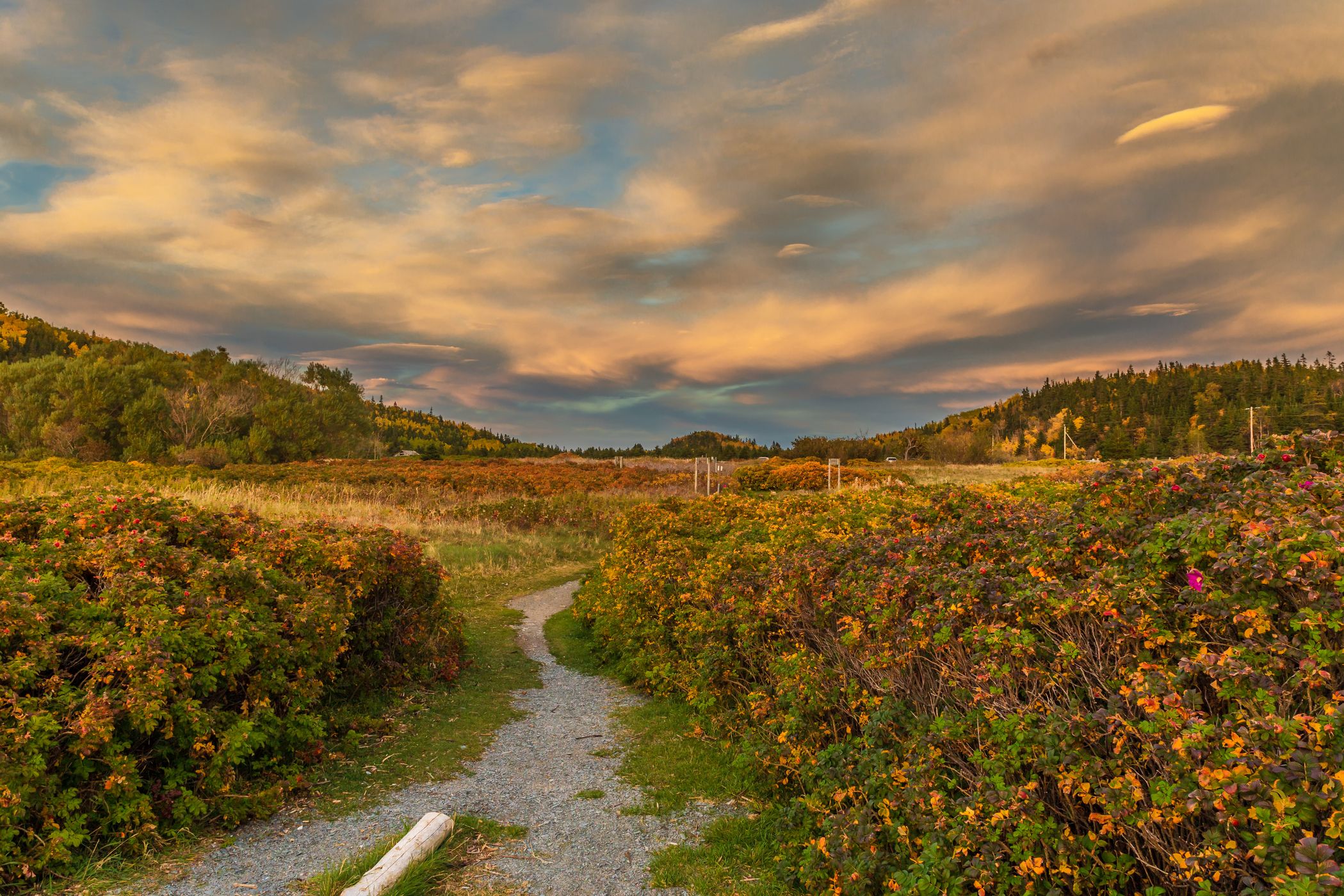 BIC National Park, Canada