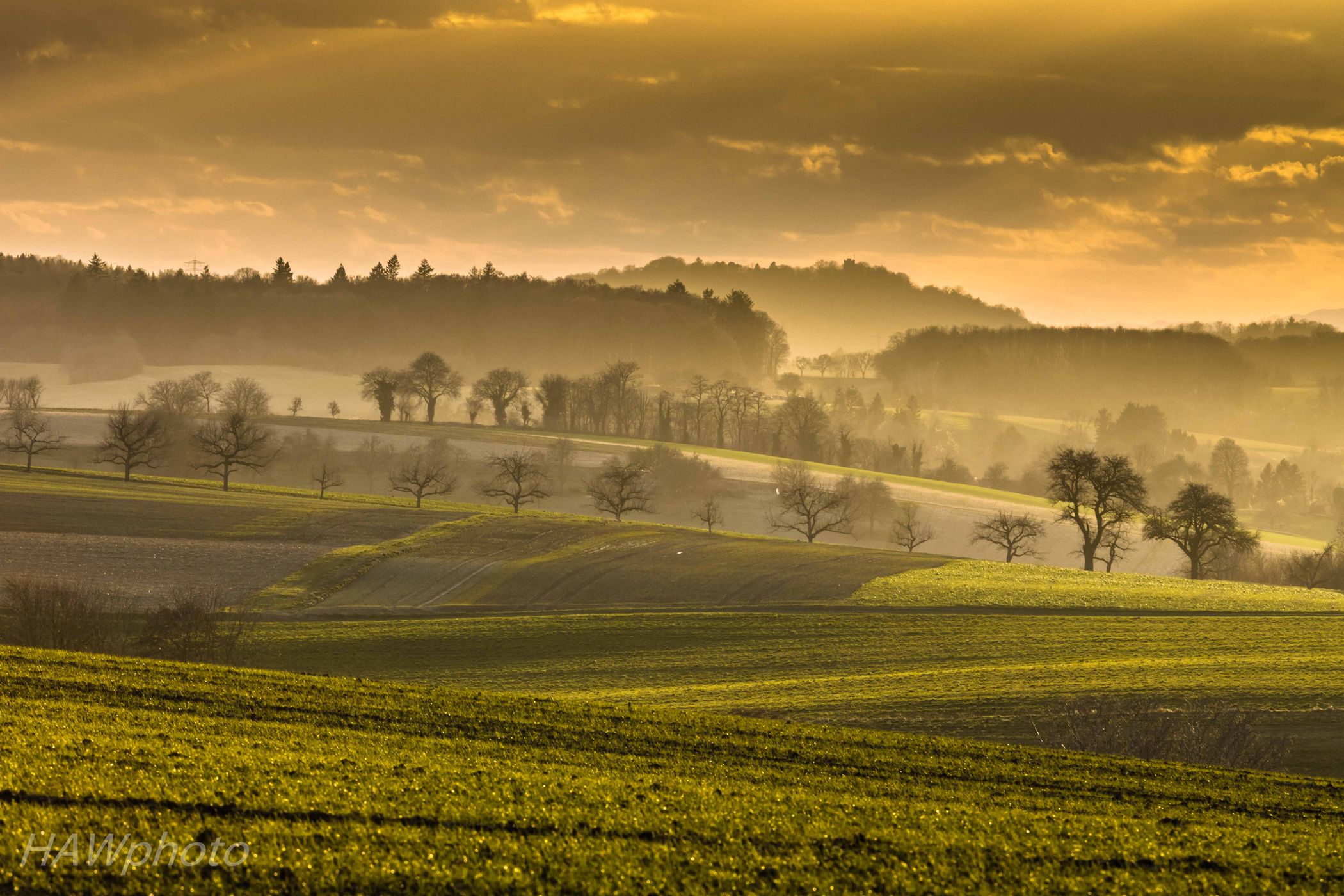 Walzbachtal-Biensheim, Germany