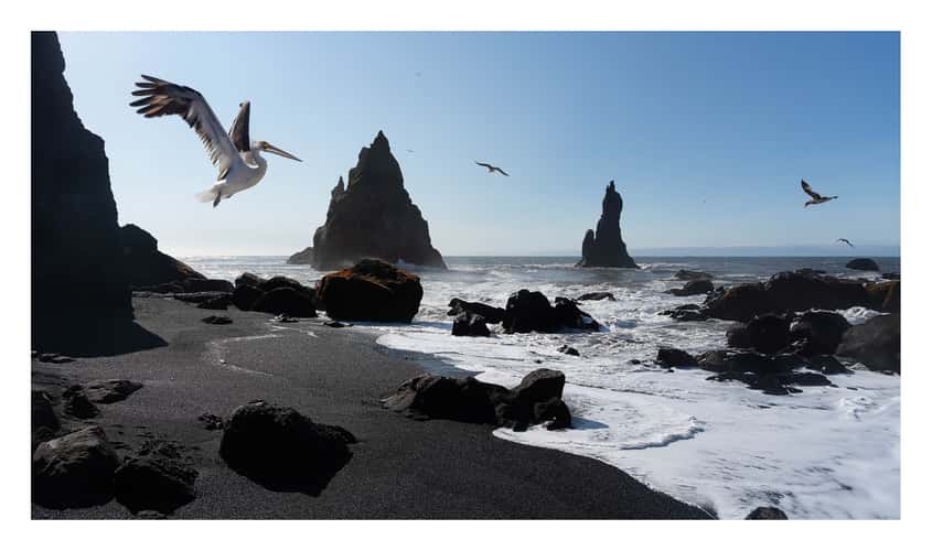 Reynisdrangar Sea Cliffs