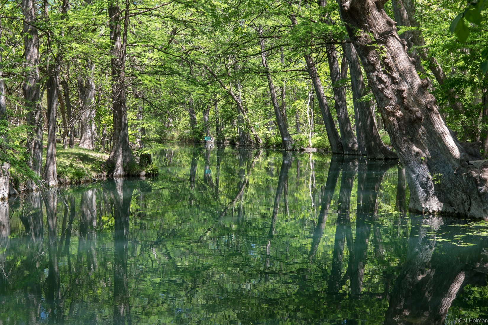 Blue Hole Regional Park