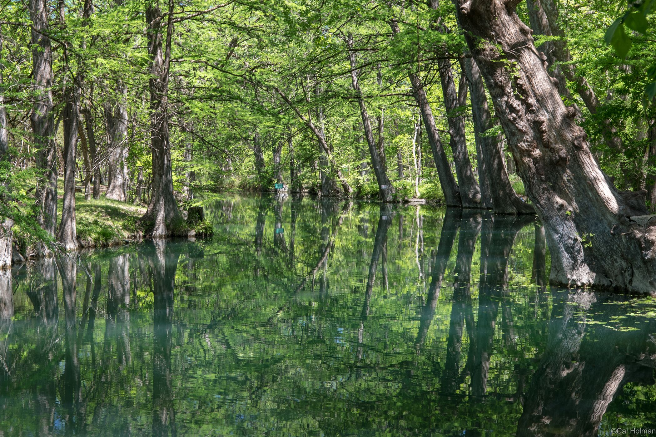 Blue Hole Regional Park, USA