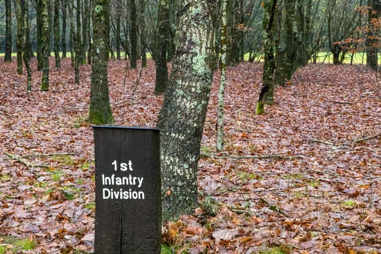 Bois de la Paix