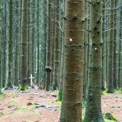 Bois Jacques Foxholes 101st Easy Company, Belgium