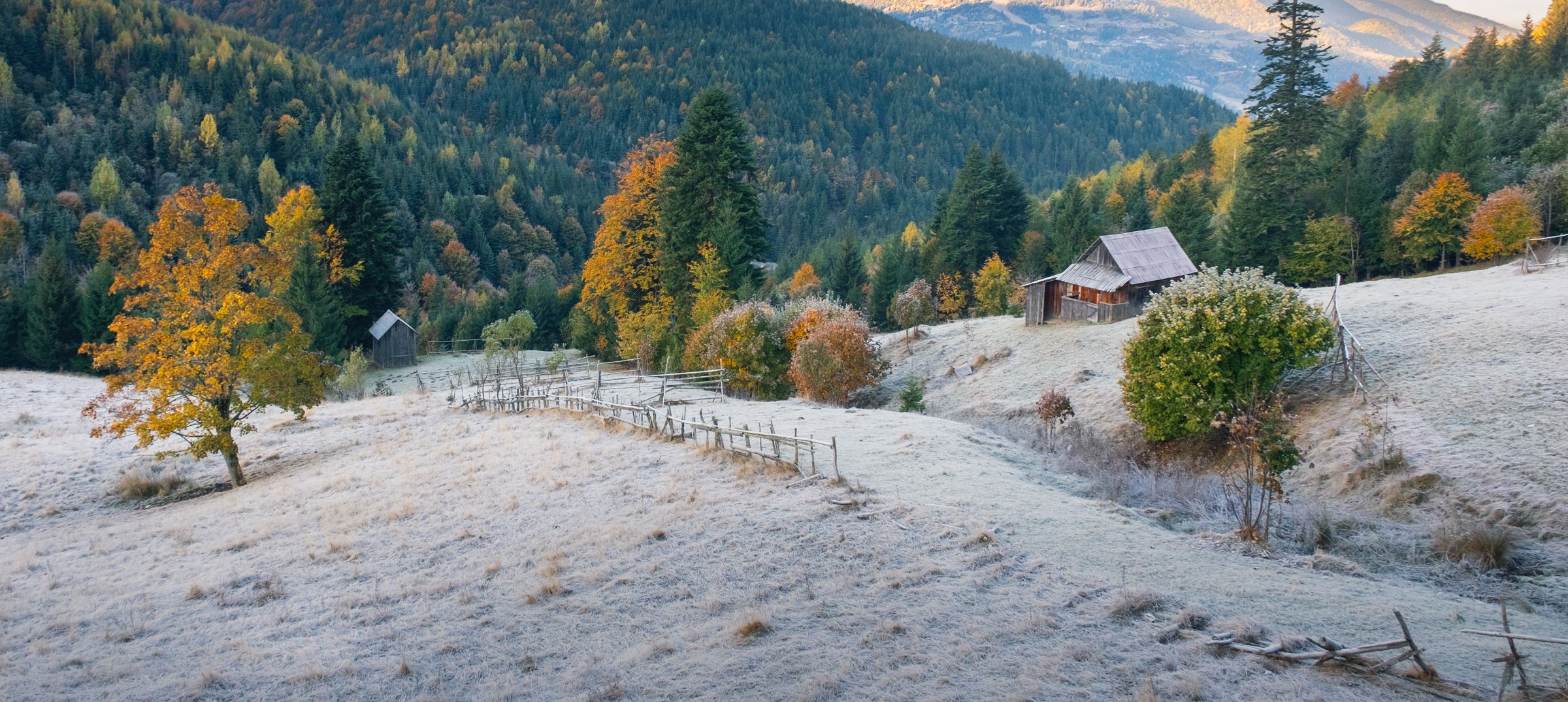 Borsa, Romania