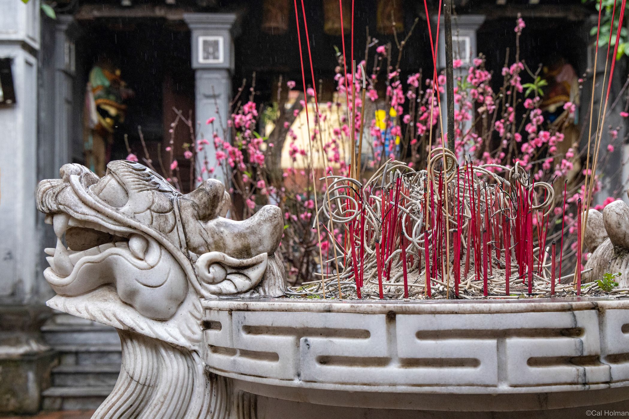Đình Kim Ngần, Vietnam