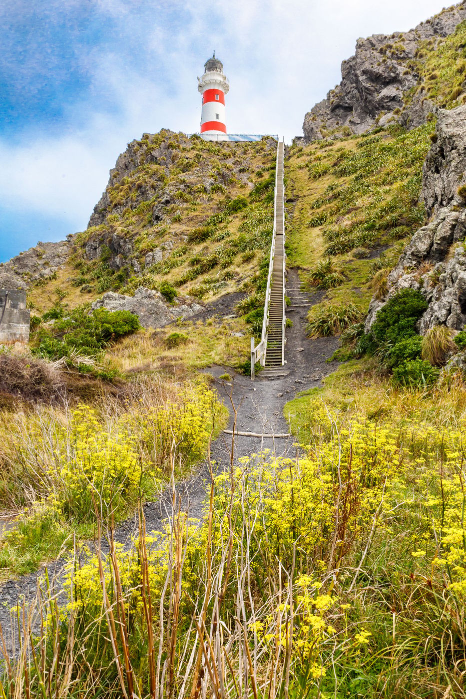 Cape Palliser Lighthouse, New Zealand