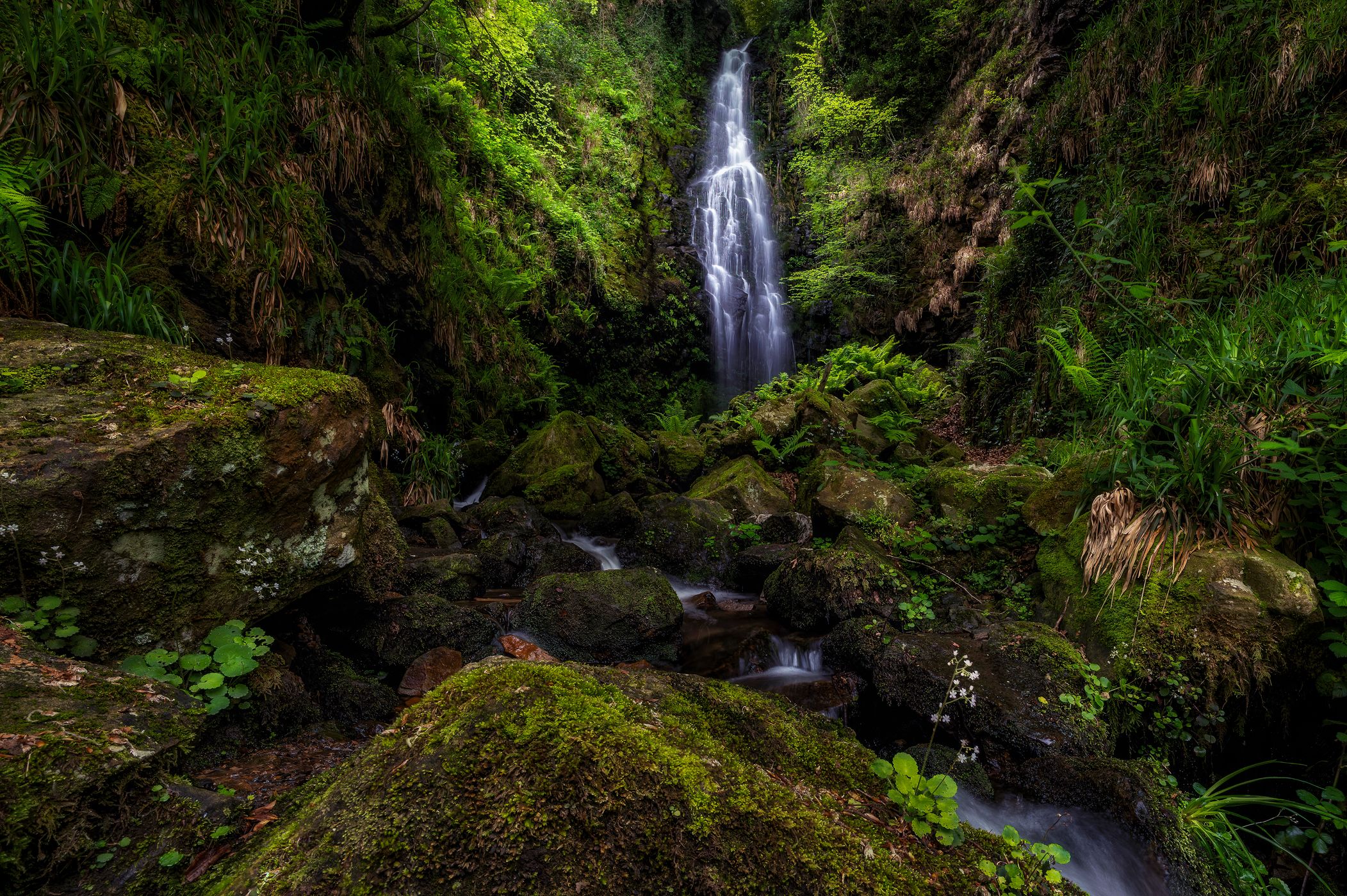 Cascada de Belaustegi, Spain