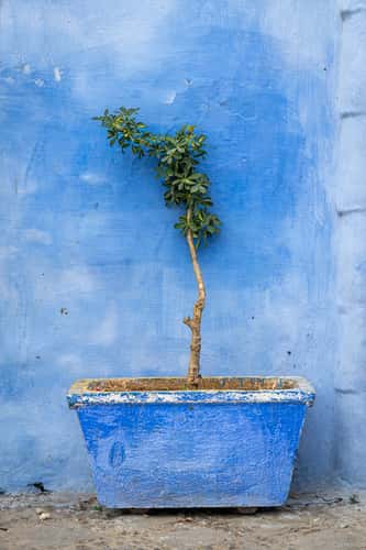 Chefchaouen