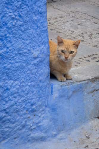 Chefchaouen