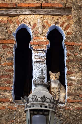 Chefchaouen