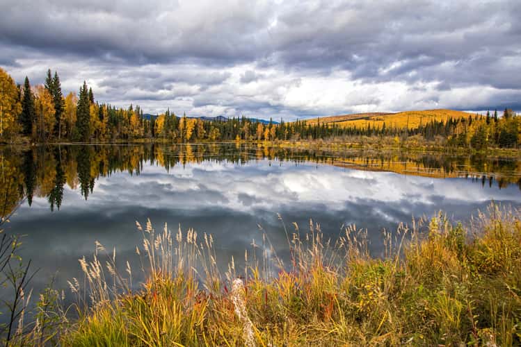Chena Hot Springs Road