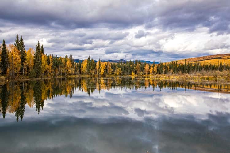 Chena Hot Springs Road