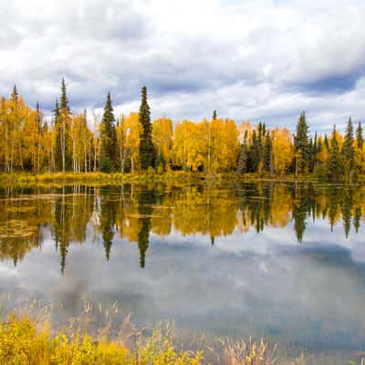 Chena Hot Springs Road, USA