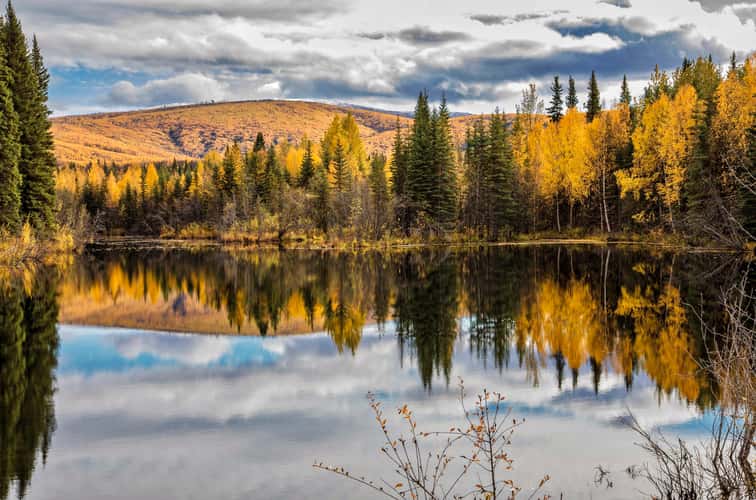 Chena River