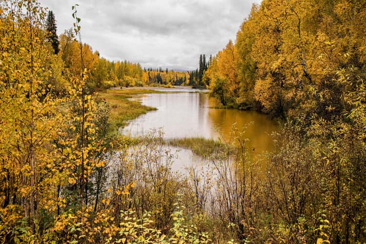 Chena River