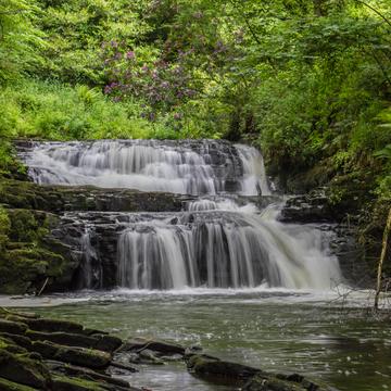 Clare Glens waterfalls, Ireland