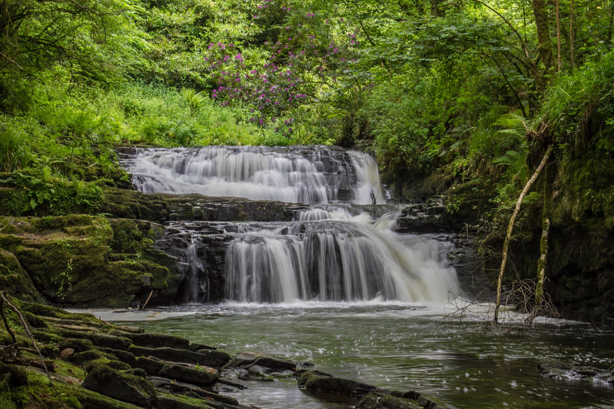 Clare Glens waterfalls, Ireland