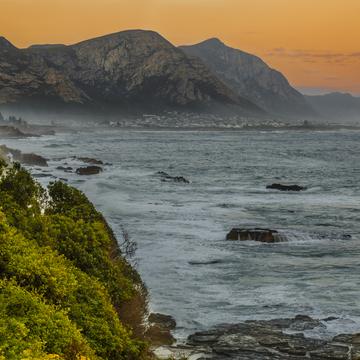 Cliff Path in Hermanus, South Africa