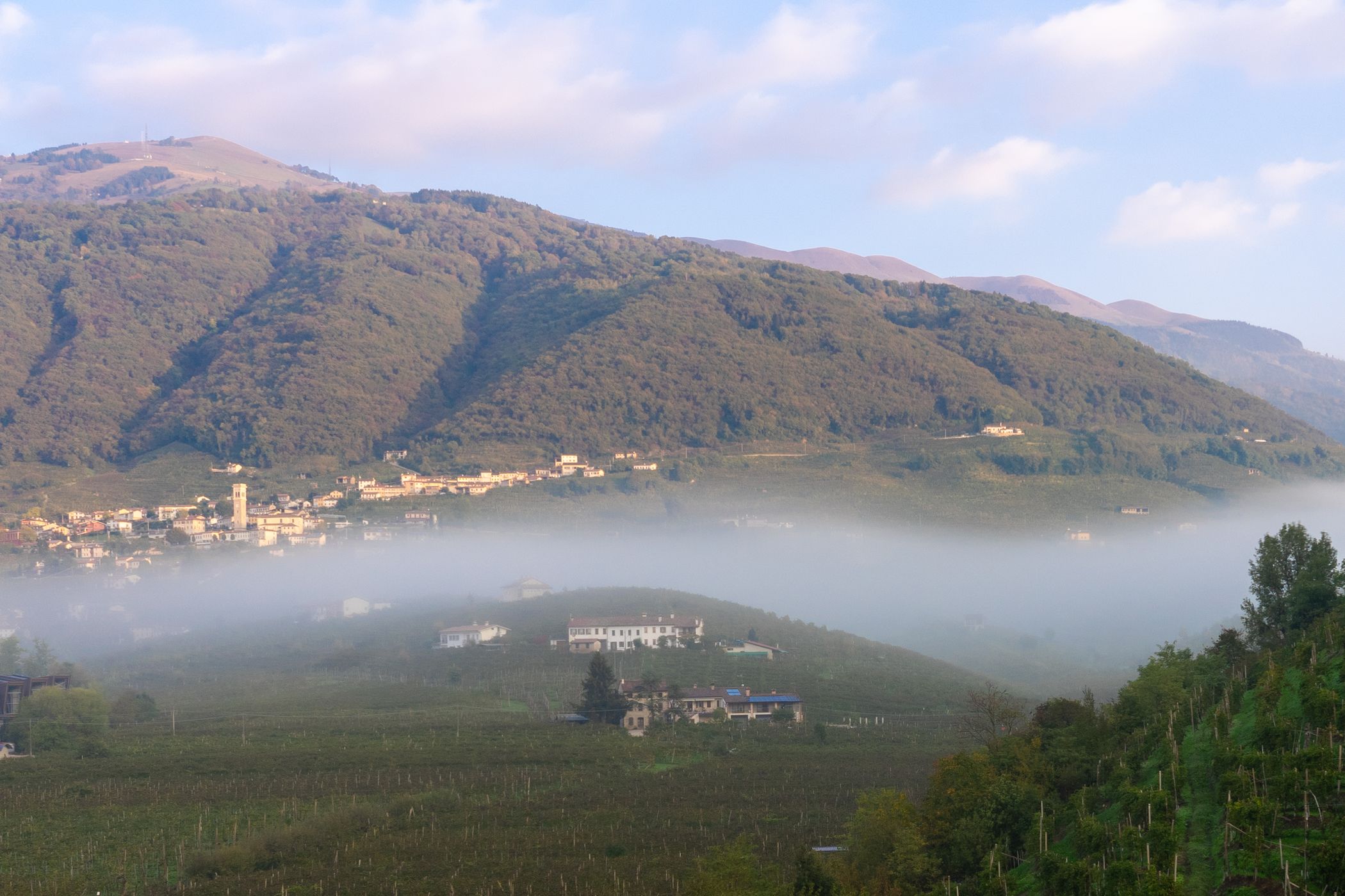 Colline di Conegliano Valdobbiadene Unesco Heritage, Italy