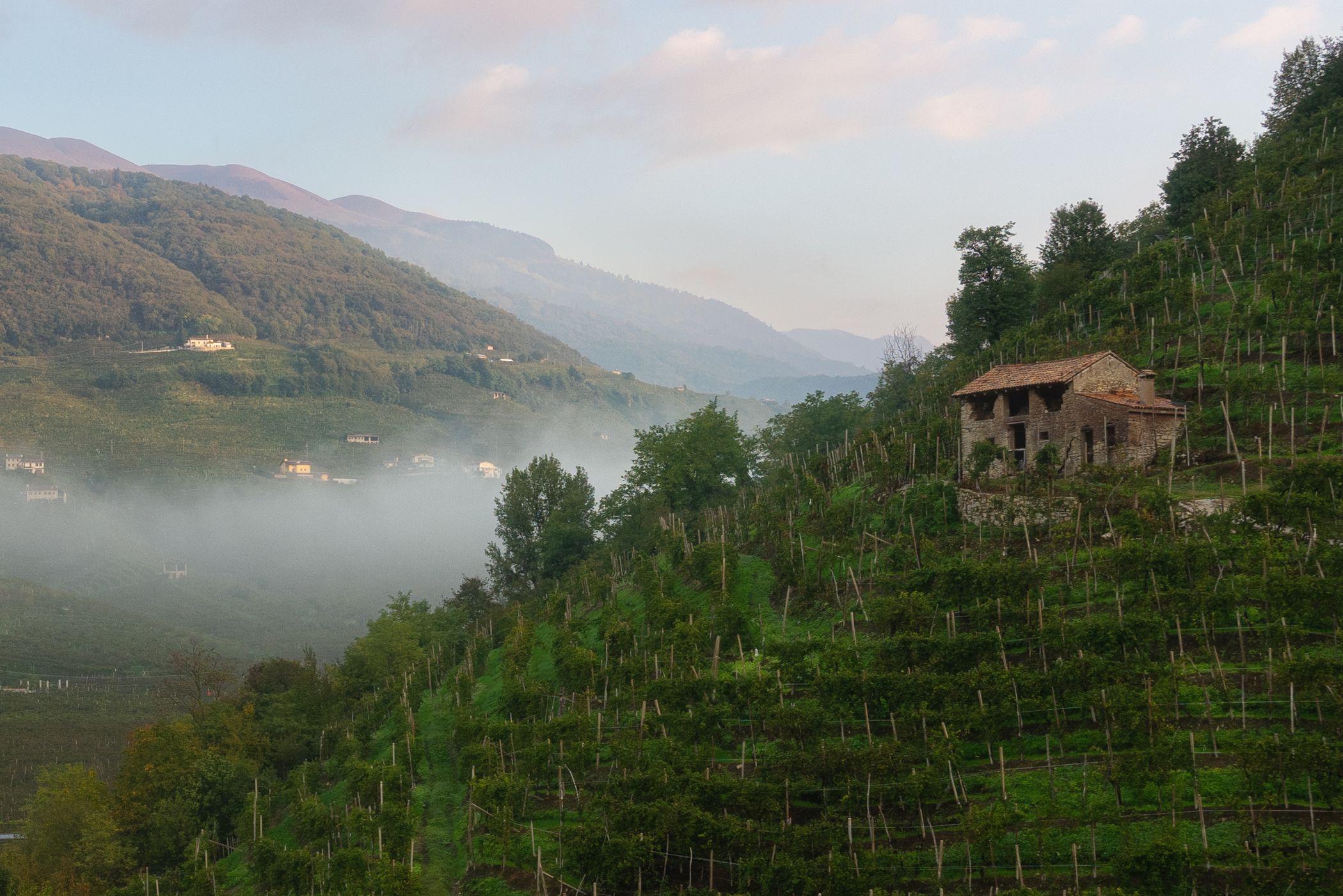 Colline di Conegliano Valdobbiadene Unesco Heritage, Italy