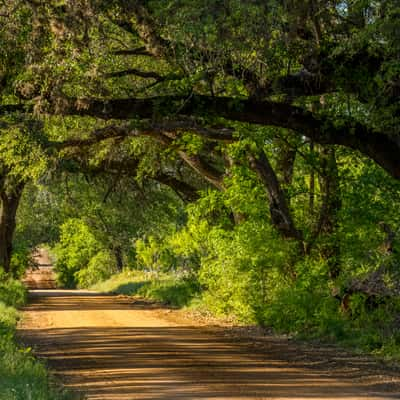 Comanche Creek, USA