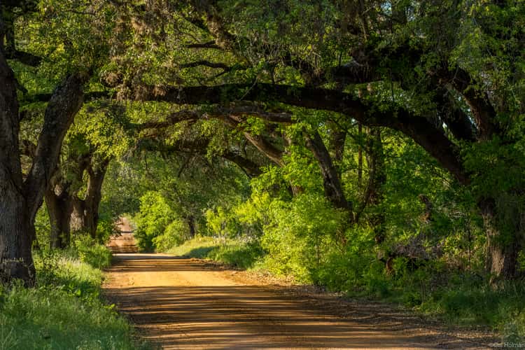 Comanche Creek
