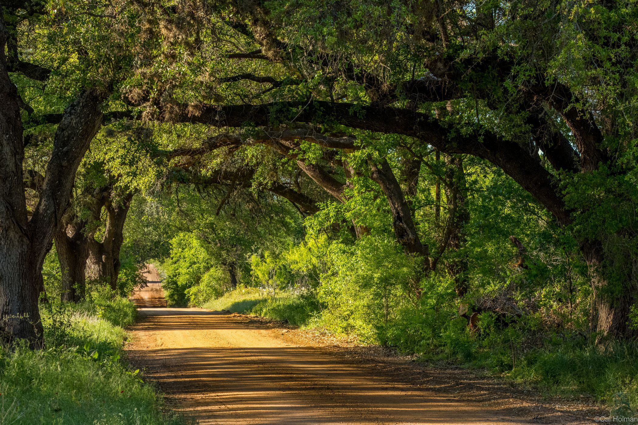 Comanche Creek, USA