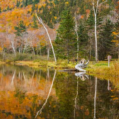 Crawford Notch, USA