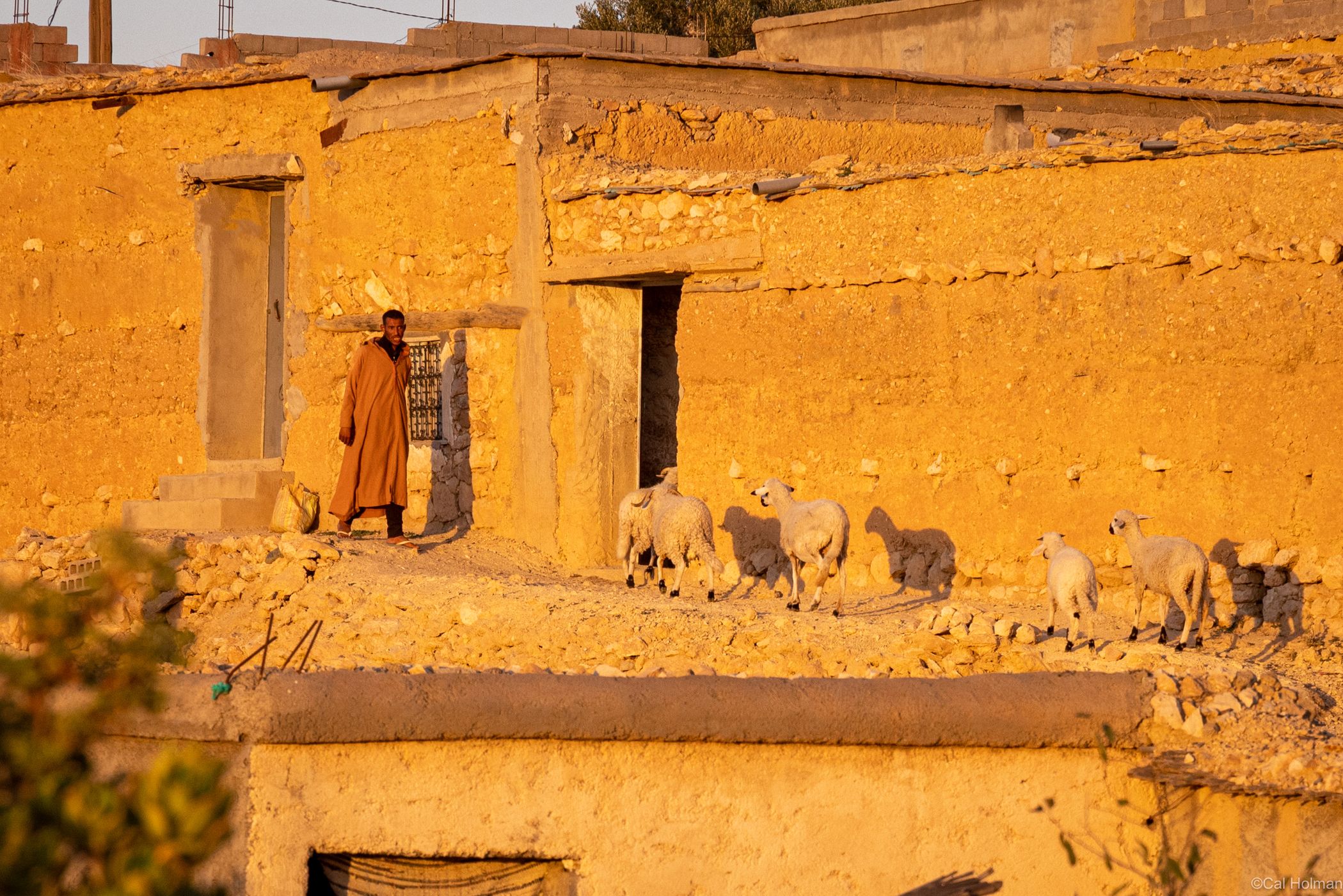 Dar Adali, Morocco