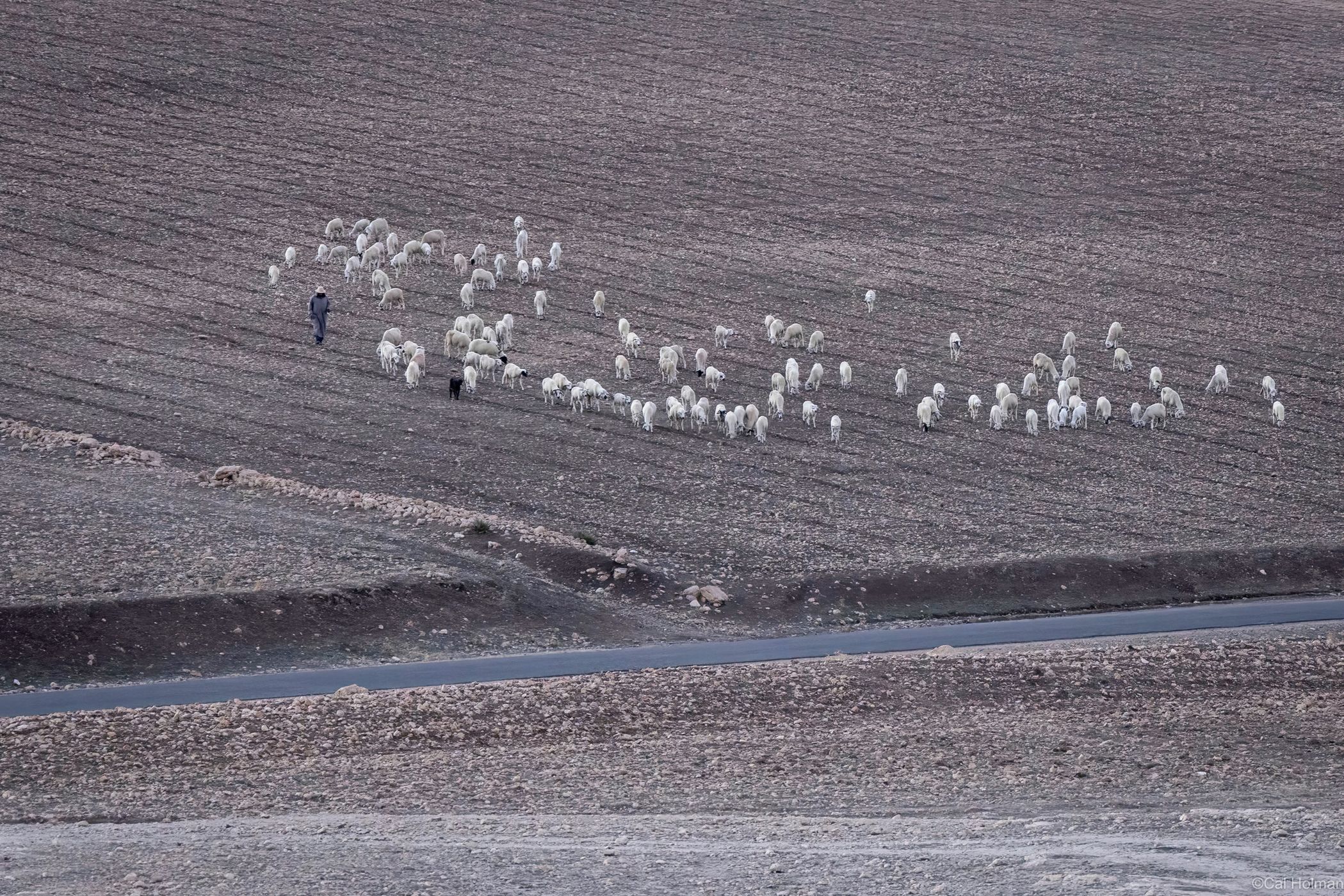 Dar Adali, Morocco