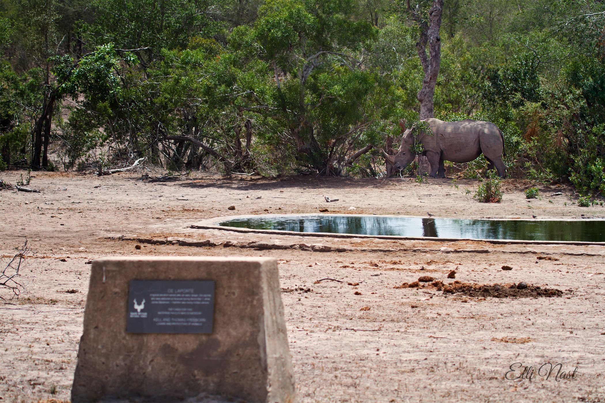 de Laporte Waterhole, South Africa