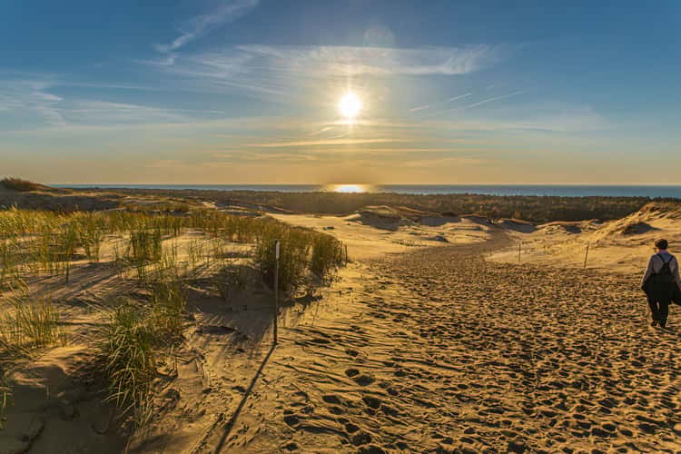 Dead Dunes on the Curonian Spit