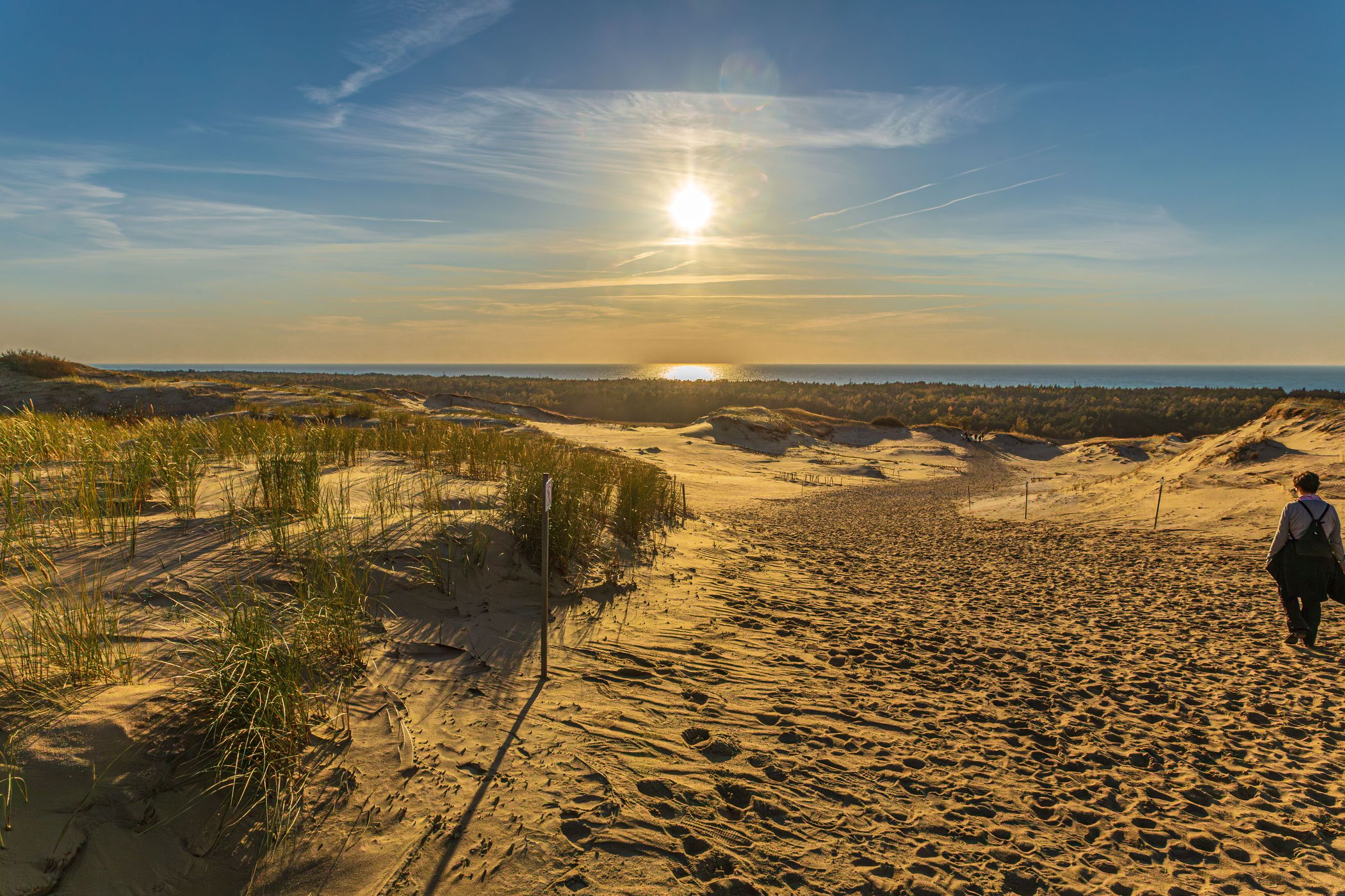 Dead Dunes on the Curonian Spit, Lithuania