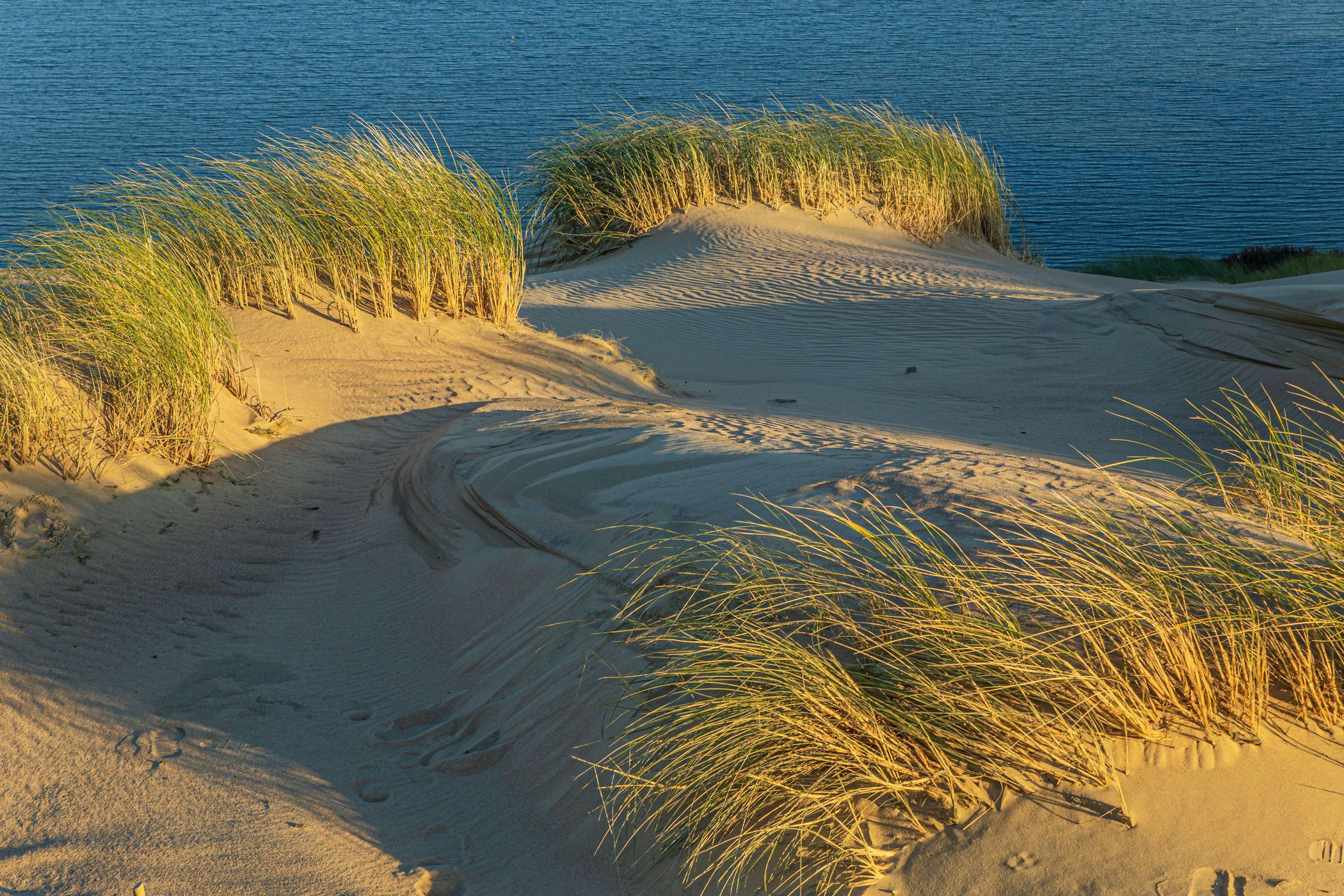 Dead Dunes on the Curonian Spit, Lithuania