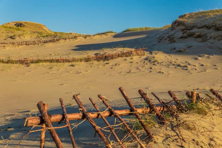 Dead Dunes on the Curonian Spit