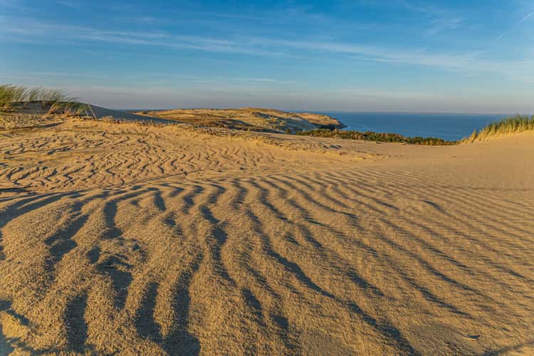 Dead Dunes on the Curonian Spit