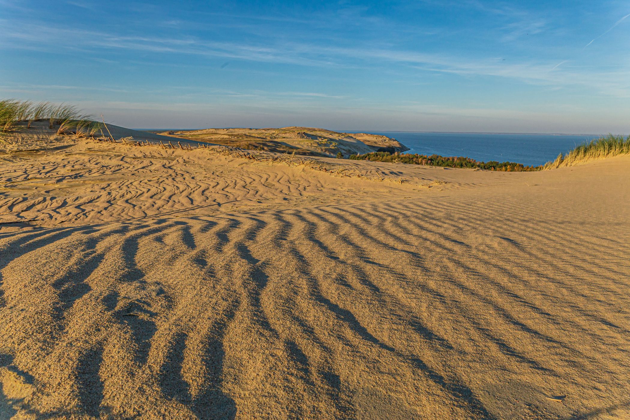 Dead Dunes on the Curonian Spit, Lithuania