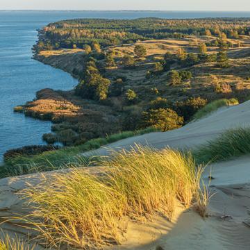 Dead Dunes on the Curonian Spit, Lithuania