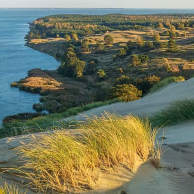 Dead Dunes on the Curonian Spit, Lithuania