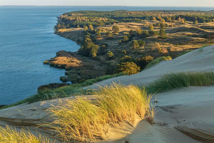 Dead Dunes on the Curonian Spit