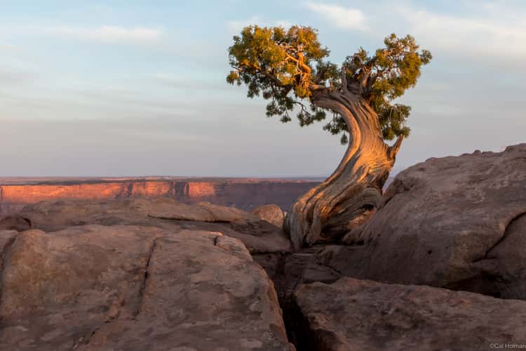 Dead Horse Point, Utah