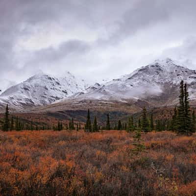 Denali National Park, USA