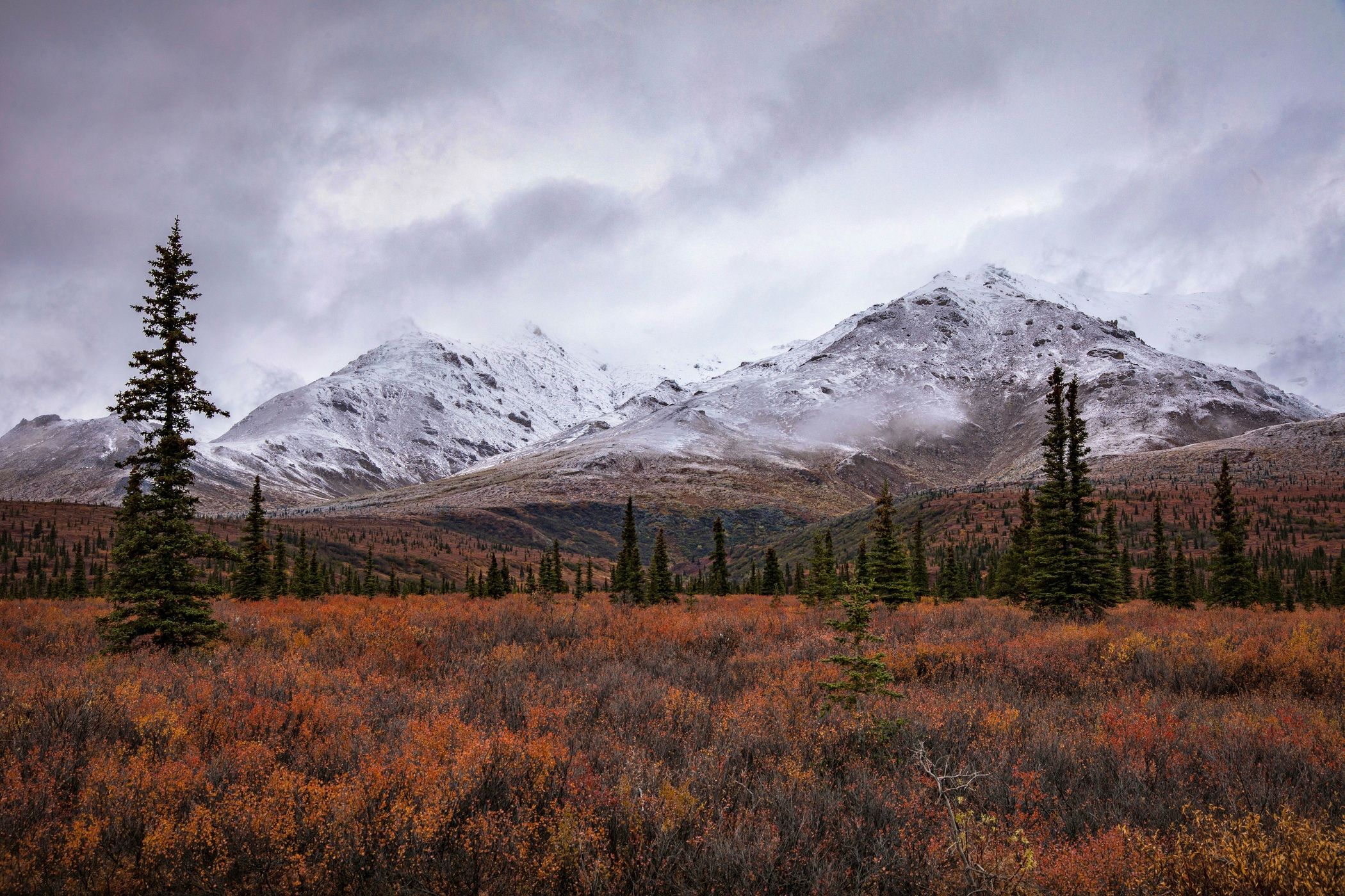 Denali National Park, USA