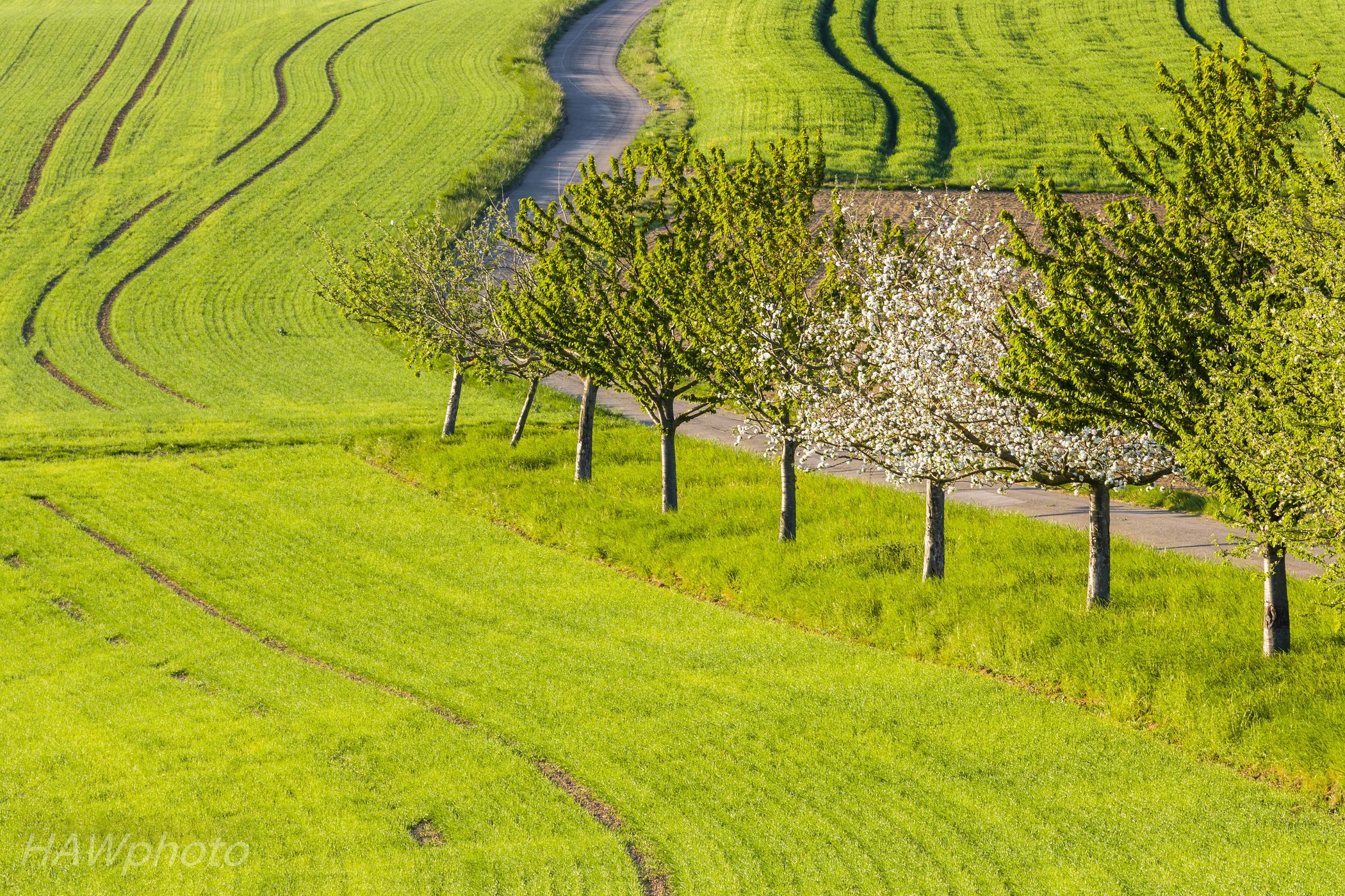 Walzbachtal-Wössingen, Germany