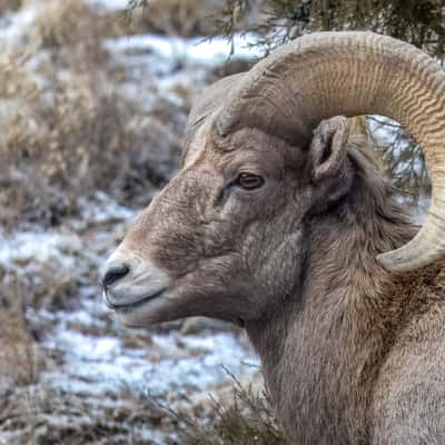 Estes Park, USA