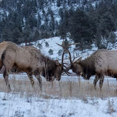 Estes Park, USA