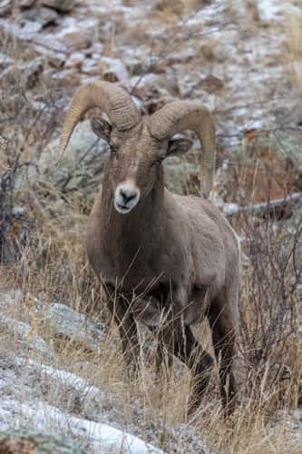 Estes Park