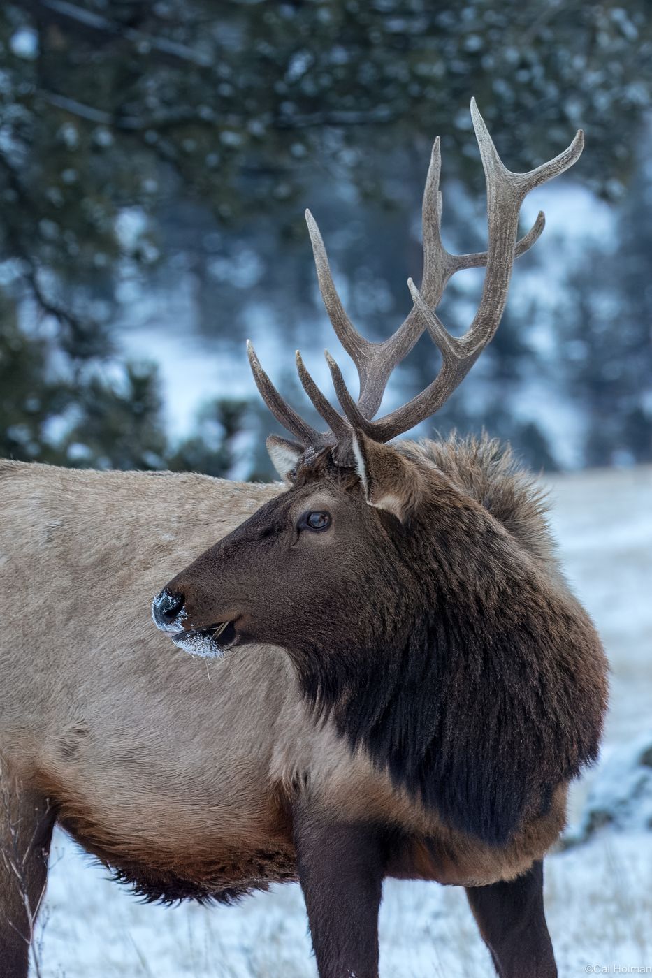 Estes Park, USA